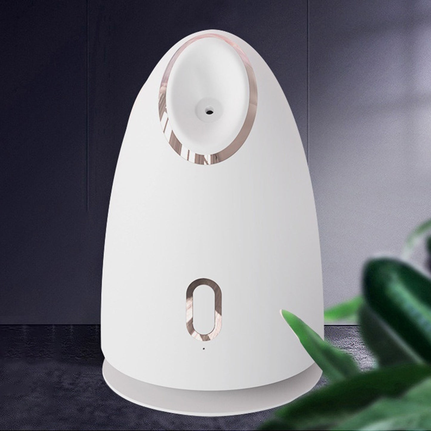 Electrical Facial Steamer Skin Care Face Spa Professional Nano Lonic