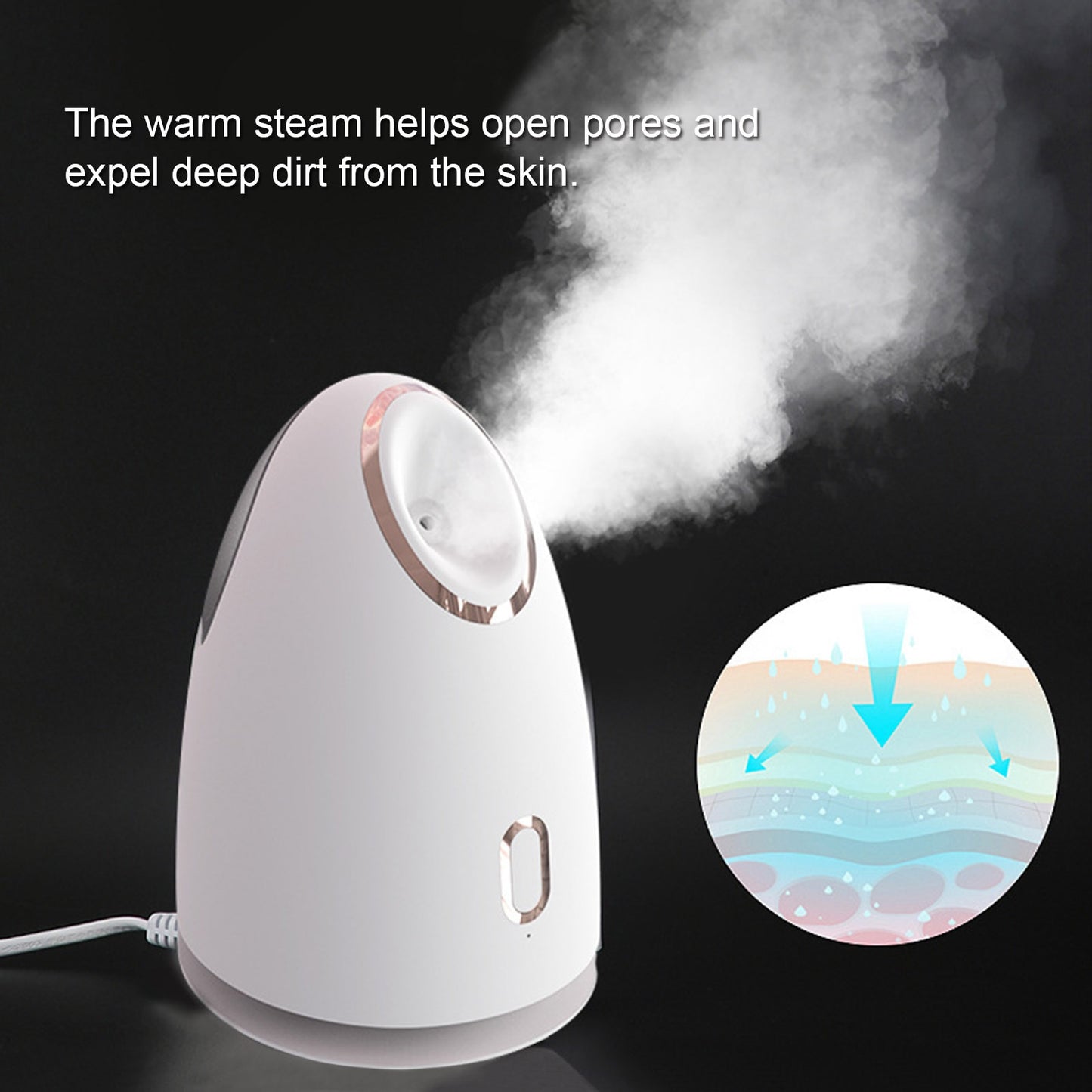 Electrical Facial Steamer Skin Care Face Spa Professional Nano Lonic